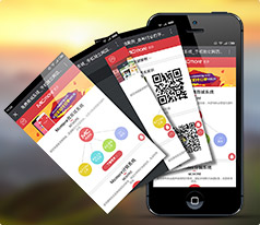 大運縱橫微物流開發案例