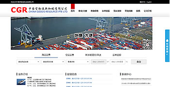 中國新加坡專線物流綜合管理平臺 河南卓安科技有限公司